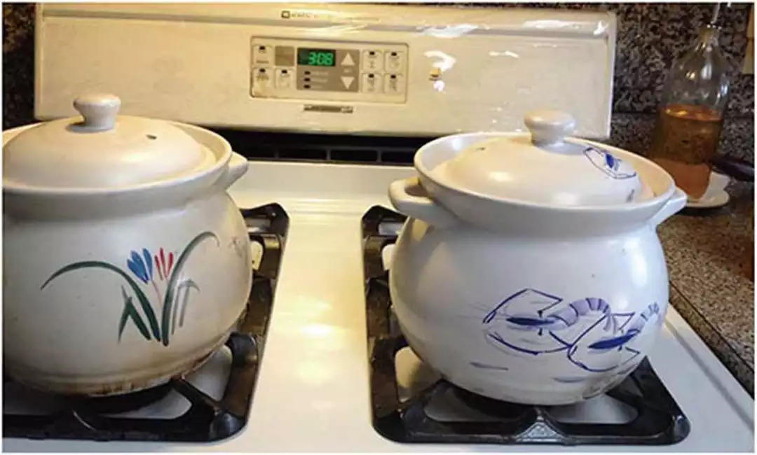 原始点医疗保健中 姜的应用2018.8 V13 原始点医疗保健中 姜的应用2018.8 V13