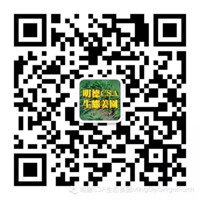 原始点医疗保健中 姜的应用2018.8 V13