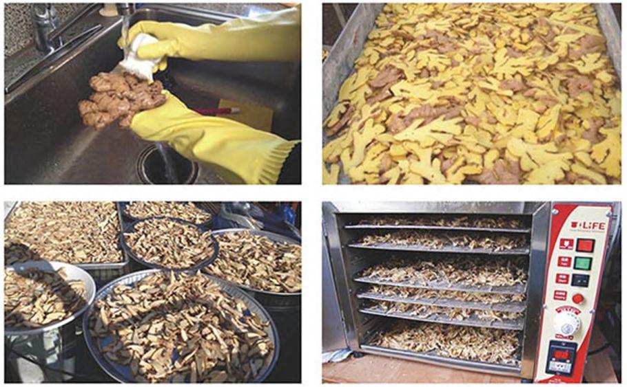 原始点医疗保健中 姜的应用2018.8 V13 原始点医疗保健中 姜的应用2018.8 V13