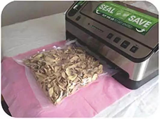 原始点医疗保健中 姜的应用2018.8 V13 原始点医疗保健中 姜的应用2018.8 V13