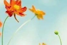 微问答157期：对于不太配合的患者，我们该如何拒绝？-原始点全球同学网