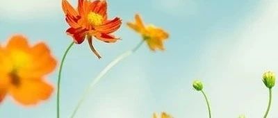 微问答157期：对于不太配合的患者，我们该如何拒绝？-原始点全球同学网