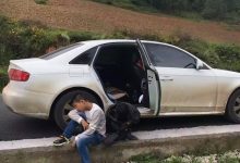 案例分享:原始点调理高原反应和严重晕车的案例-原始点全球同学网