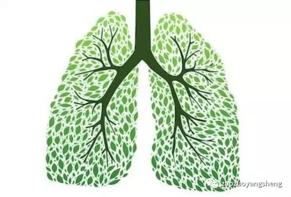 案例分享：原始点调理肺腺癌末期出现的血小板过低的案例-原始点全球同学网