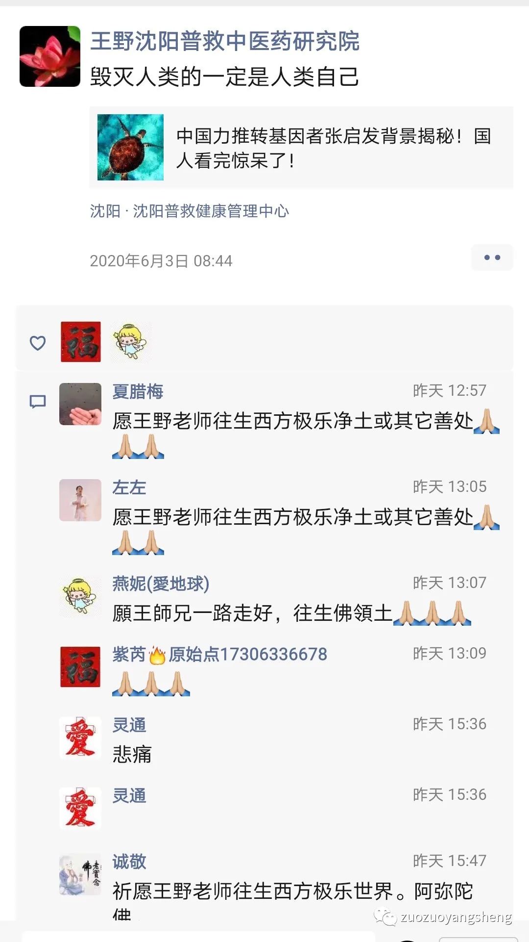 大陆原始点推广界巨星陨落———王野老师一路走好! 大陆原始点推广界巨星陨落———王野老师一路走好!