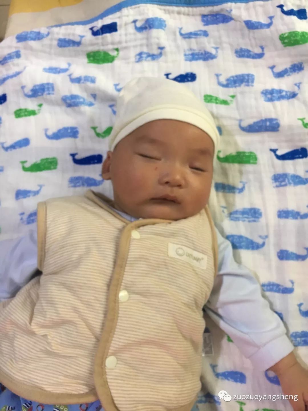 案例回访:原始点调理孩子一年后,体质大幅改善! 案例回访:原始点调理孩子一年后,体质大幅改善!