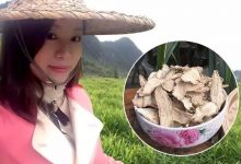 养生防疫，每天喝点姜汤吧……-原始点全球同学网