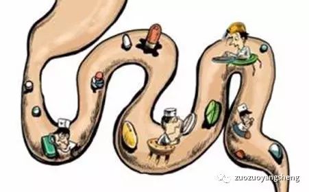 案例分享：原始点调理结肠癌的肝转移、肺转移案例-原始点全球同学网