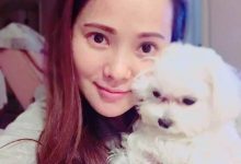 伊能静米国剖腹产伤口严重感染，如果使用原始点调理应该怎么做？-原始点全球同学网