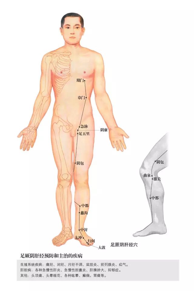 原始点家人还可以学习一下这些人体小开关!(附超高清人体经络穴位图) 原始点家人还可以学习一下这些人体小开关!(附超高清人体经络穴位图)