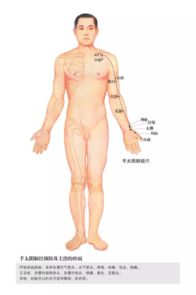 原始点家人还可以学习一下这些人体小开关!(附超高清人体经络穴位图) 原始点家人还可以学习一下这些人体小开关!(附超高清人体经络穴位图)