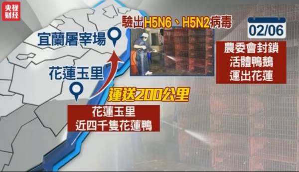 面对H7N9的高发期，原始点应该怎么破？