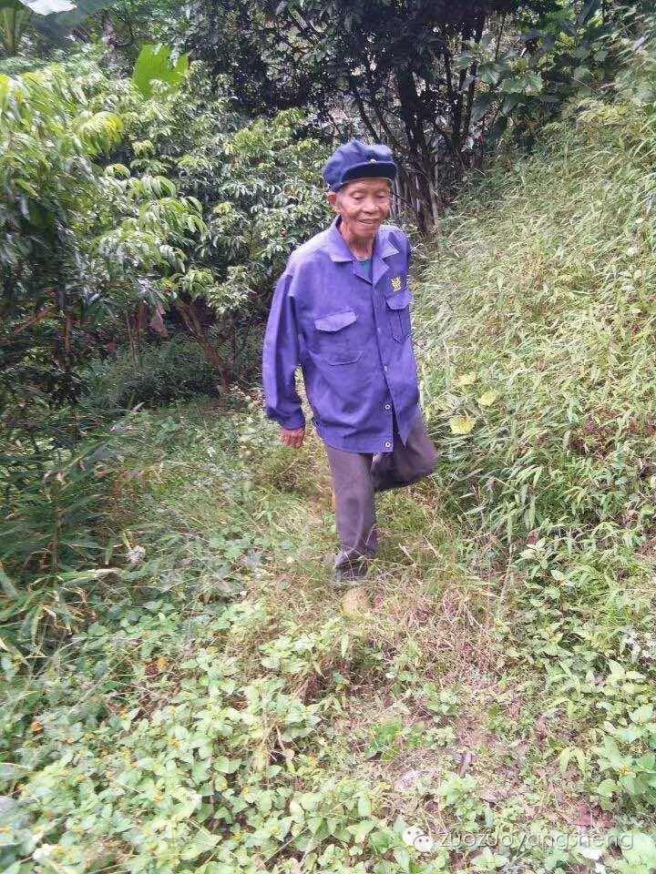 案例分享：原始点调理中风不能自理的案例