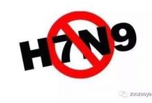 面对H7N9的高发期，原始点应该怎么破？-原始点全球同学网