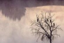 案例分享:我刚刚经历了一场生死急救-原始点全球同学网