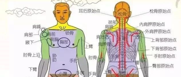 原始点医学案例: 子宫肌瘤阿英，女，54岁，广州人氏-原始点全球同学网