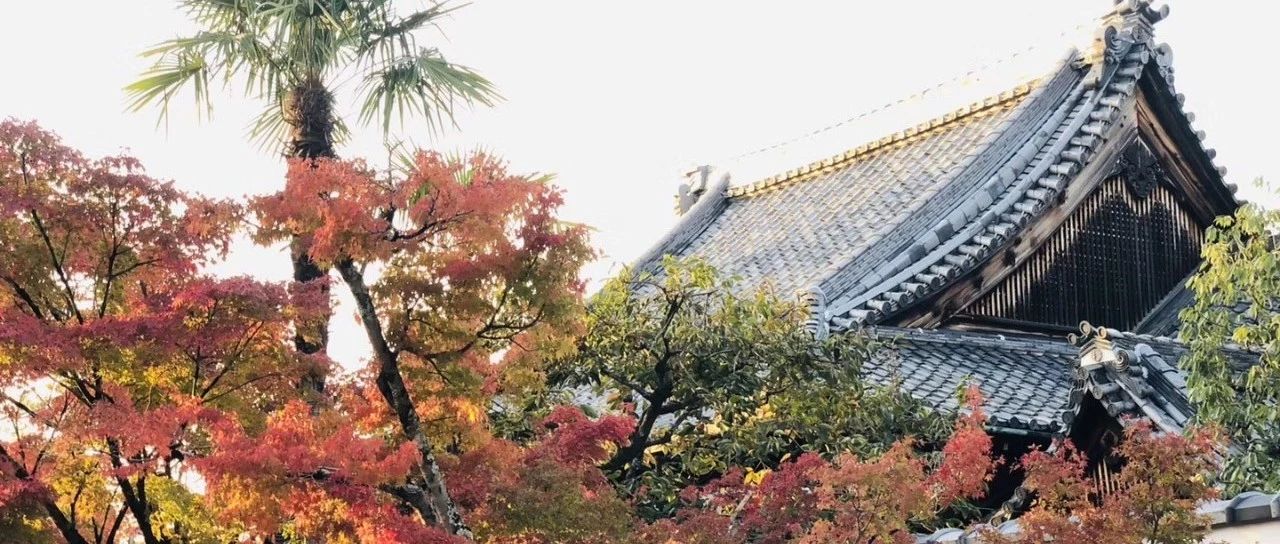 肺癌骨转移、淋巴、肾上腺转移-原始点全球同学网