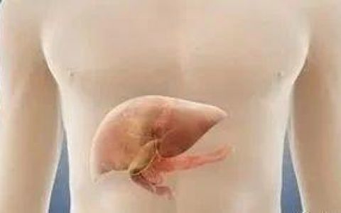 肝癌的我，原始点之路-原始点全球同学网