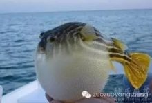 郁闷毁乳房,暴躁伤子宫.....别让情绪左右您!-原始点全球同学网