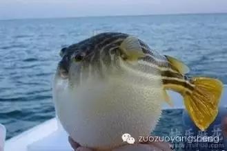 郁闷毁乳房，暴躁伤子宫.....别让情绪左右您！-原始点全球同学网