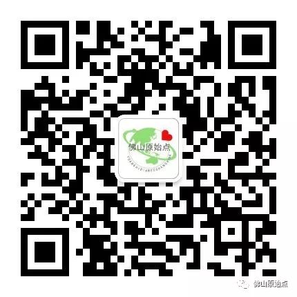 原始点调理十年牛皮癣案例 原始点调理十年牛皮癣案例