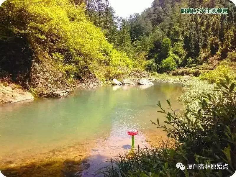用大爱传播原始点-原始点全球同学网