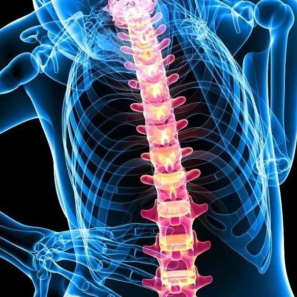 【原始点案例】腰间盘突出的调理方案及案例-原始点全球同学网