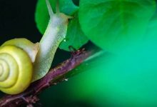 常年下体流血不止-原始点全球同学网