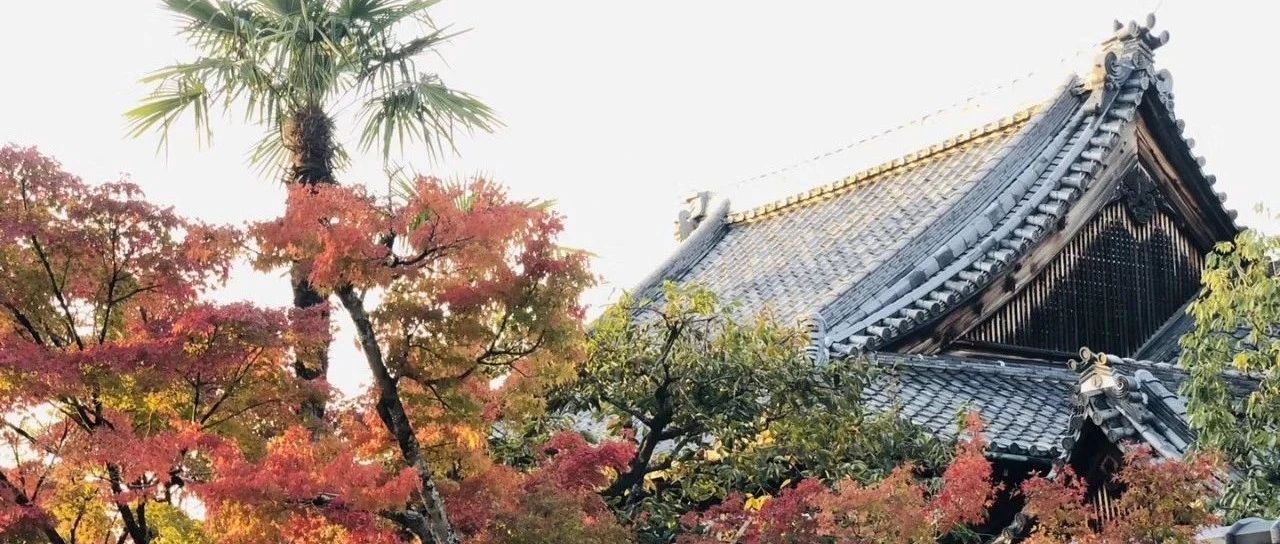 被宣判还剩15天的白血病-原始点全球同学网