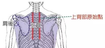 《原始点医学》脑中风、癫痫及心肌梗塞之急救-徐州2015年1月讲座讲义 《原始点医学》脑中风、癫痫及心肌梗塞之急救-徐州2015年1月讲座讲义