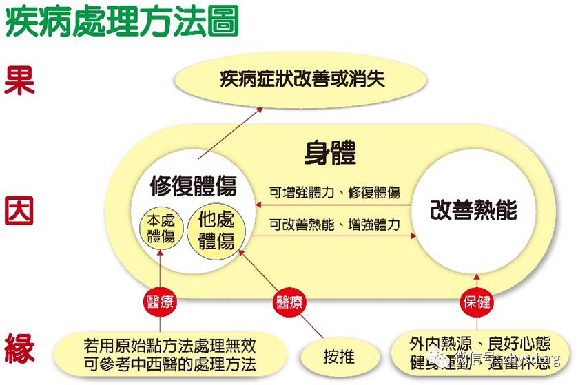 原始点医学在临床上的应用(2/2) 2016年8月 原始点医学在临床上的应用(2/2) 2016年8月