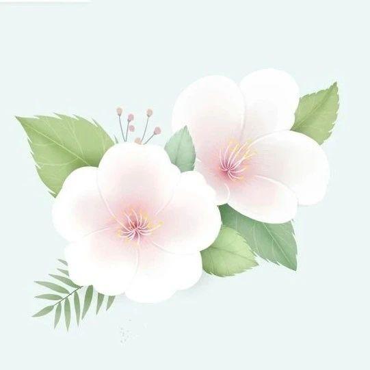 6月23日、30日素暖教室群武老师在线答疑（语音版）-原始点全球同学网
