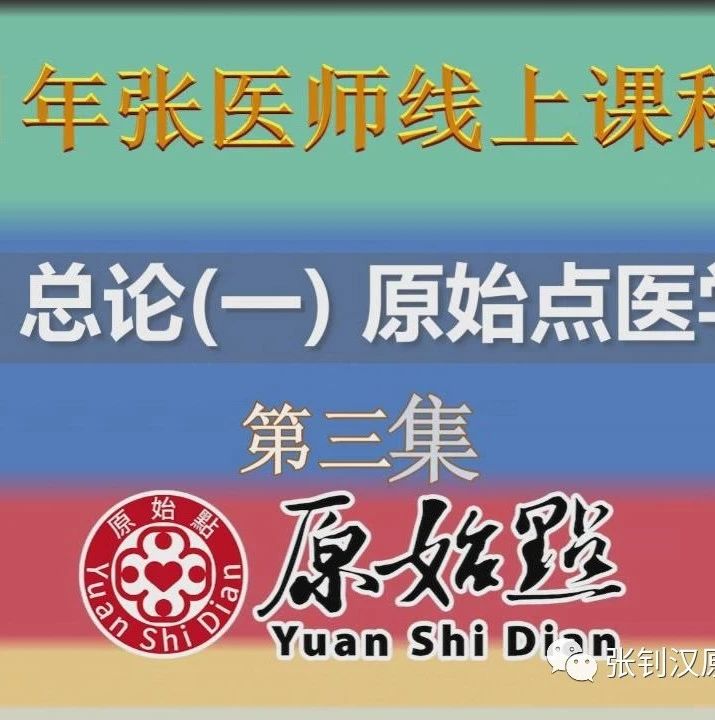 2021张医师原始点线上课程系列——十二、总论一第三集-原始点全球同学网