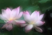 【原始点案例】:系统性红斑狼疮调理三个月恢复正常!-原始点全球同学网