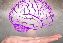 案例分享:原始点调理中年人老年痴呆,失忆的案例-原始点全球同学网