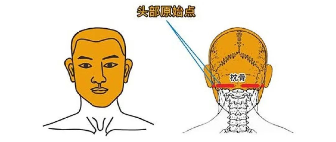 把原始点带回家 孝敬爸妈——头部案例篇