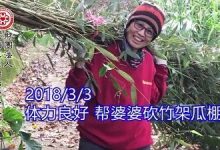 肺腺癌案例(后续追踪)-原始点全球同学网