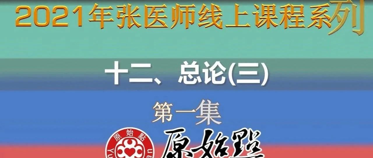十二、总论（三）-第一集 （2021年01月24日）-原始点全球同学网