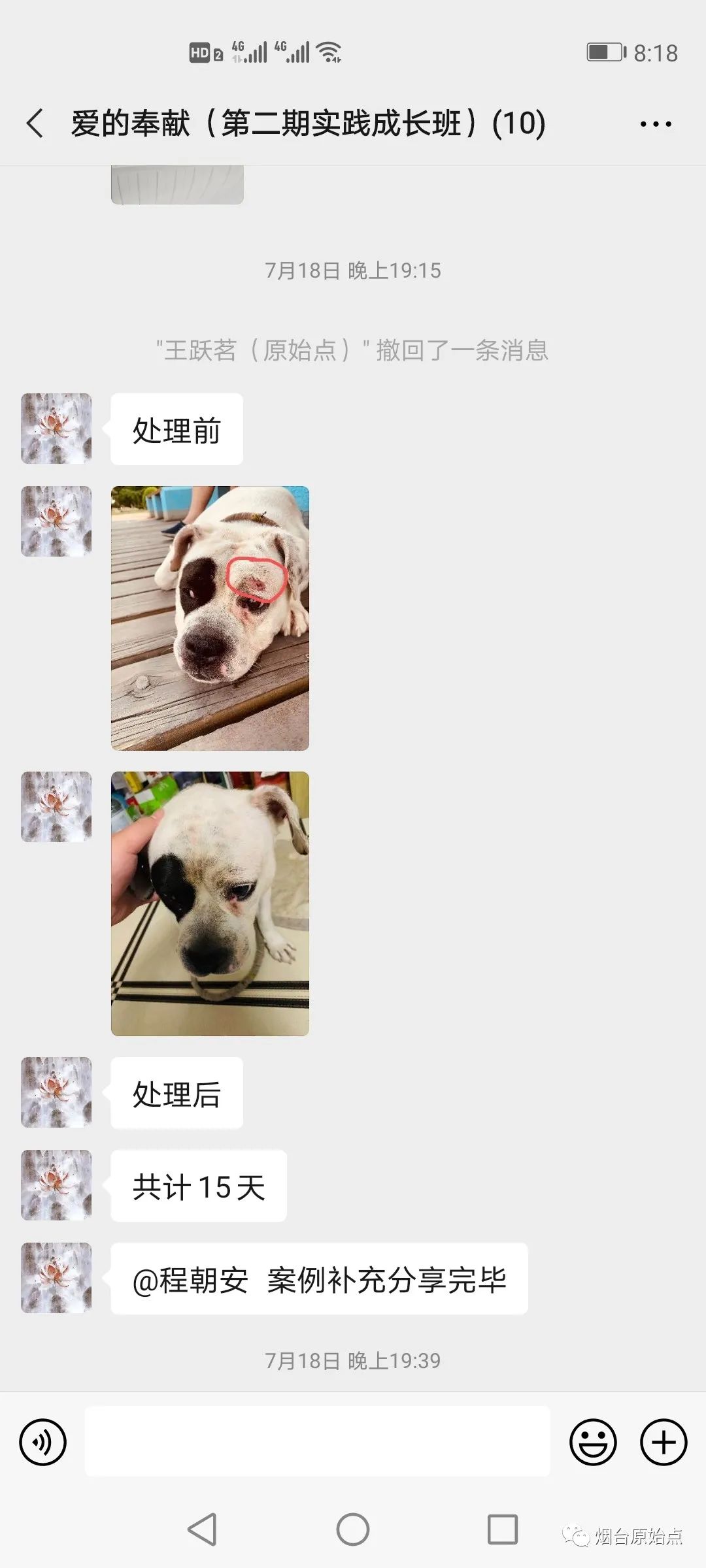 小狗眼眶部掉毛案例 小狗眼眶部掉毛案例