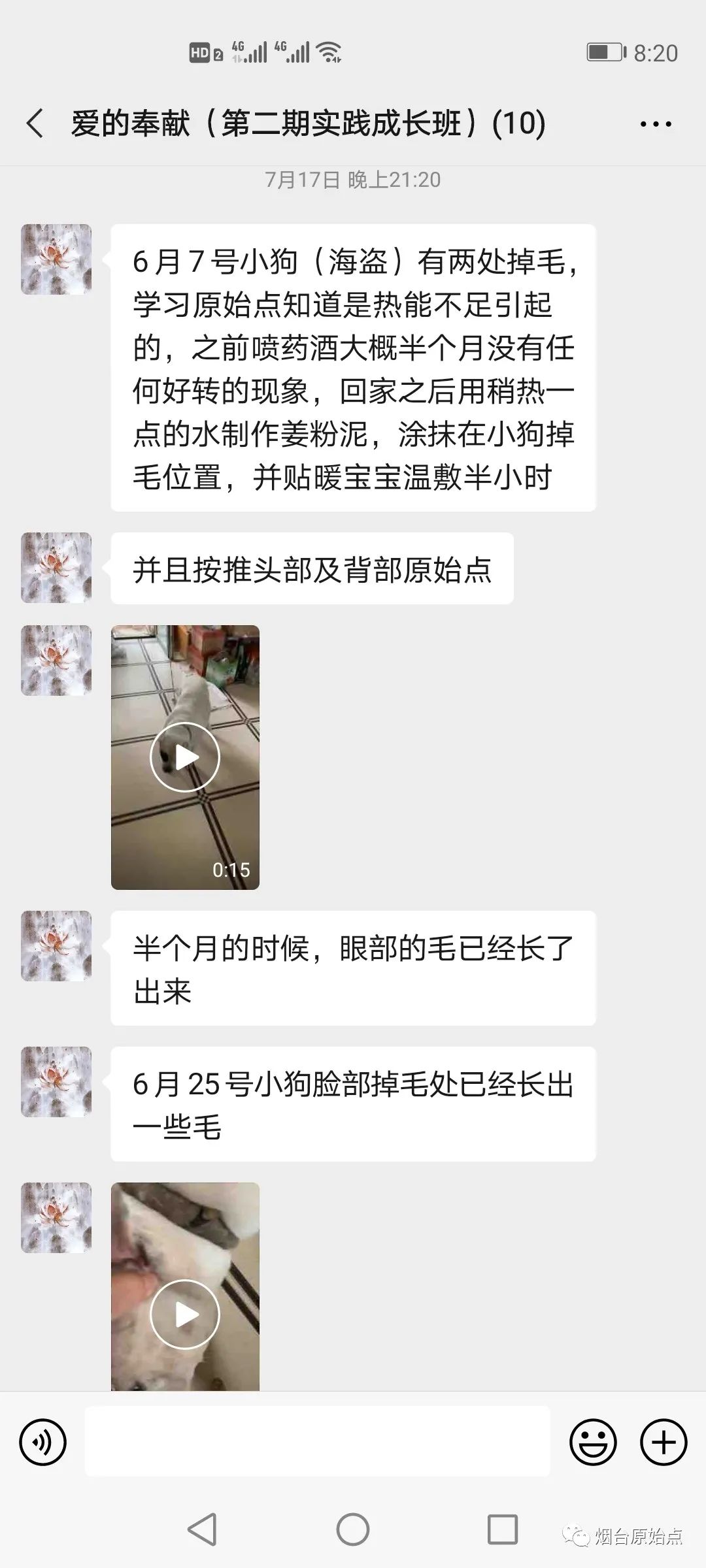 小狗眼眶部掉毛案例 小狗眼眶部掉毛案例