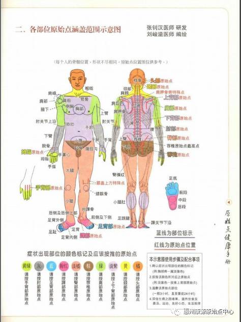 如何学好原始点?惠州康源原始点中心彭治军分享于2017.8.22-原始点全球同学网