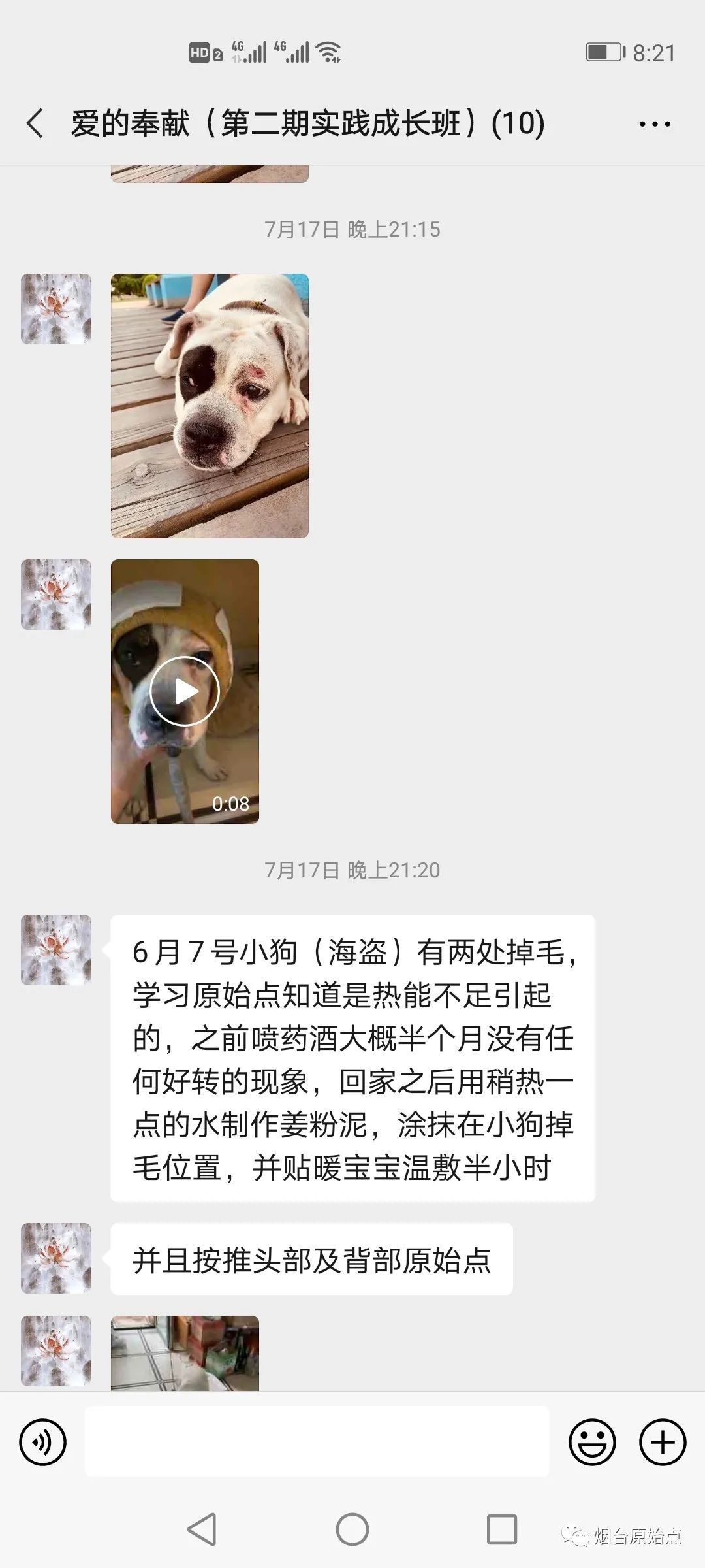 小狗眼眶部掉毛案例 小狗眼眶部掉毛案例