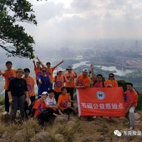 原始点调理动物（鸡、鱼、狗、猫、牛、鸽子等）-原始点全球同学网