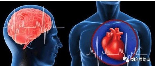 心脑血管案例、鼻炎案例-原始点全球同学网
