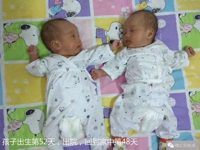 智慧父母选择原始点调理早产儿,转危为安 智慧父母选择原始点调理早产儿,转危为安