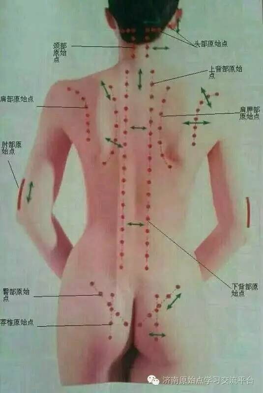 子宫内膜增厚案例 子宫内膜增厚案例