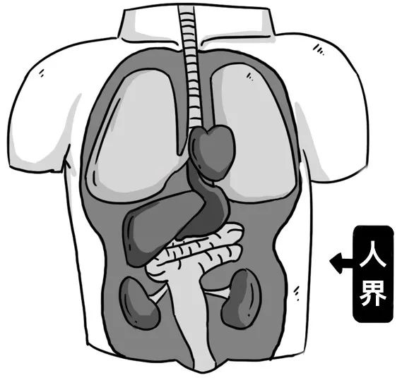 不瞒你说,痔疮,其实是个神仙下凡的故事。--趣文 不瞒你说,痔疮,其实是个神仙下凡的故事。--趣文