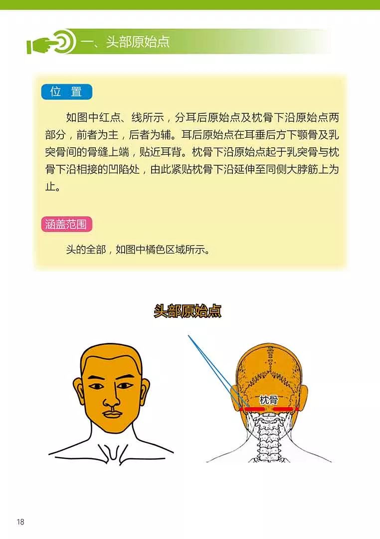 原始点健康手册(第五版)(简体版) 原始点健康手册(第五版)(简体版)