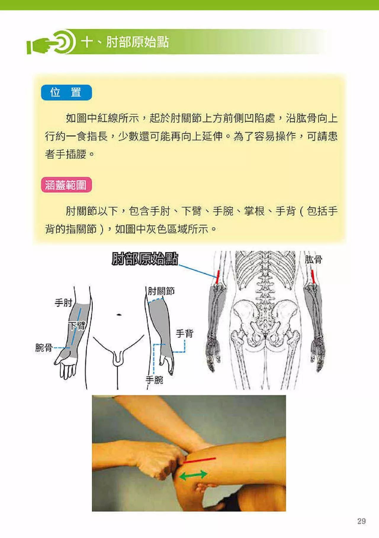 原始点健康手册(第四版)(繁体版) 原始点健康手册(第四版)(繁体版)