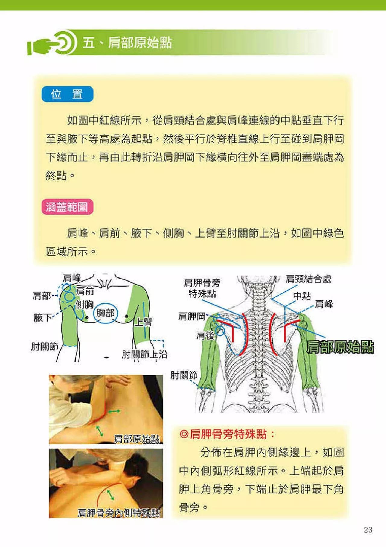 原始点健康手册(第四版)(繁体版) 原始点健康手册(第四版)(繁体版)